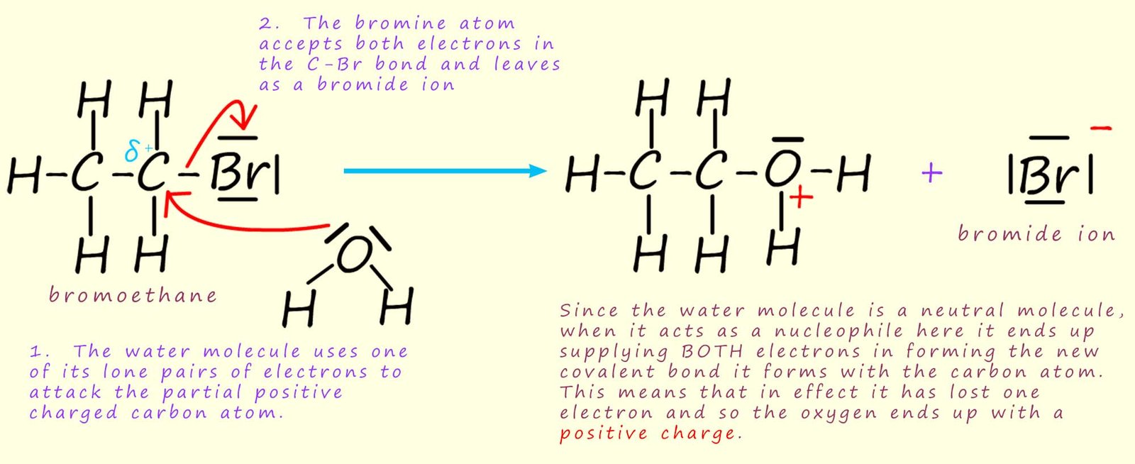 The mechanism for the hydrolysis of a halogenalkane by water.